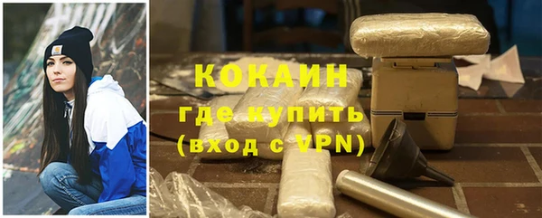 МДПВ Протвино