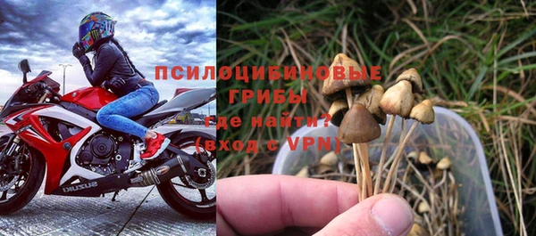 МДПВ Протвино