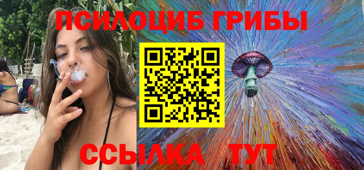 Каспийск  Псилоцибиновые грибы Psilocybe  Вход с VPN  купить  сайты  Галлюциногенные грибы Magic Shrooms 